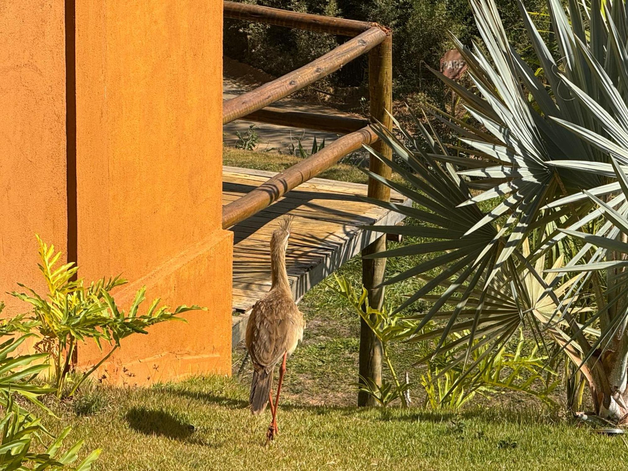 Pousada Guardia Da Canastra Vargem Bonita Exteriér fotografie